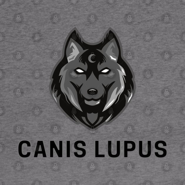 Canis lupus by SilentCreations